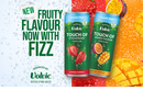 Volvic Touch of Fruit Sparkling water Pack of 12x330ml