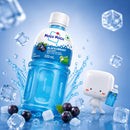 Mogu Mogu Blackcurrant Drink Bottle 24x320ml