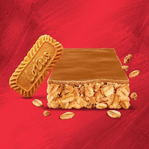 Trek Biscoff Flapjack Vegan Protien Snack Pack of 16x50g