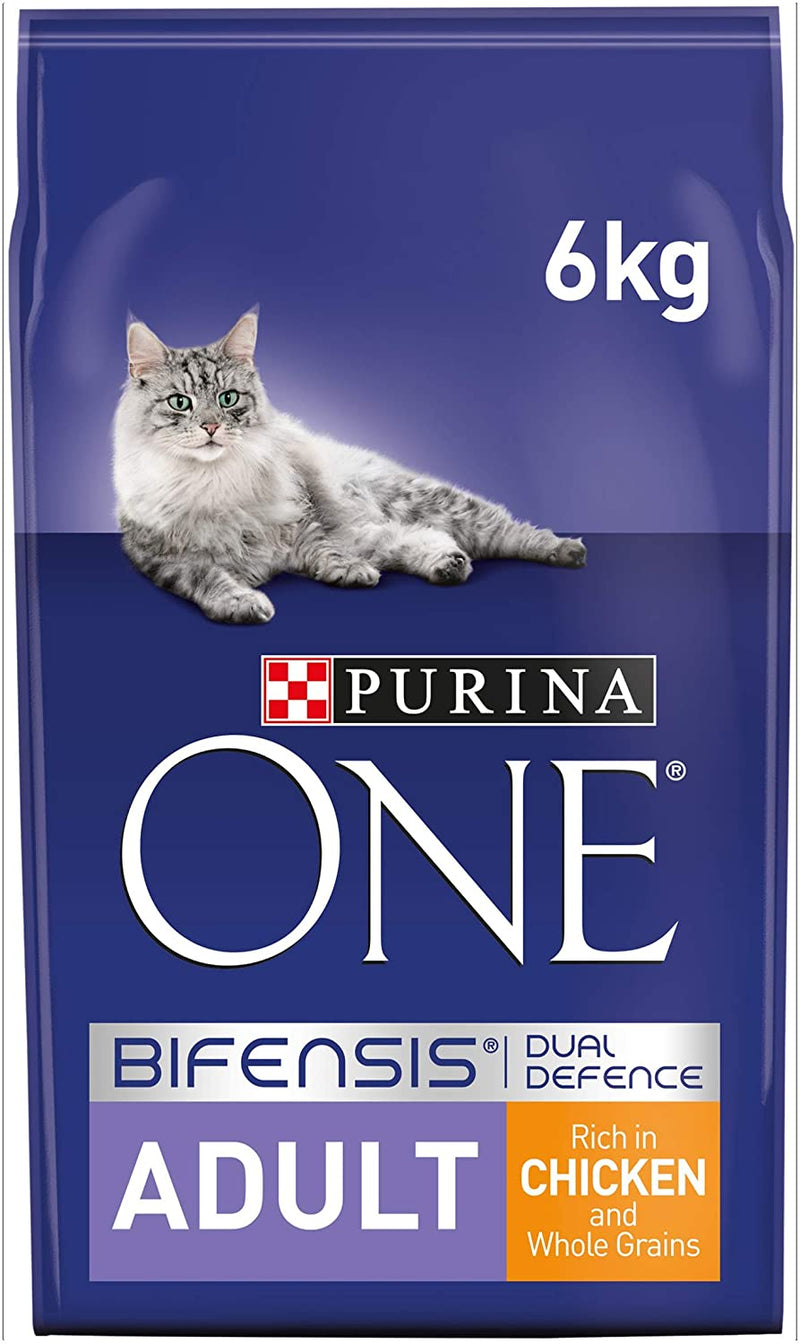 Purina ONE Adult Dry Cat Food Chicken and Wholegrains 6kg