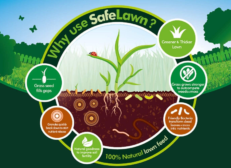 Westland SafeLawn Child and Pet Friendly Natural Lawn Feed 400m2, Green, 14kg