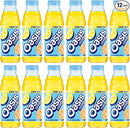 Oasis Citrus Punch Zero - 12x500ml