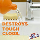 Mr Muscle Kitchen + Bathroom Drain Gel Pack of 2 x 1L