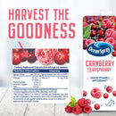 Ocean Spray Cranberry & Raspberry Juice Drink Pack of 12x1L Carton